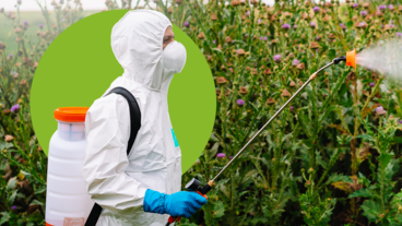 CURSO DE APLICADOR DE FITOSANITARIOS (NIVEL CUALIFICADO)